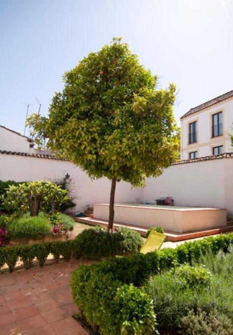 El Patio De Ezequiel