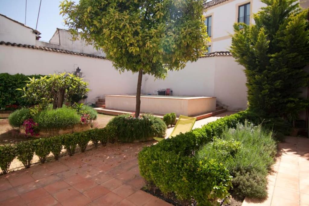 El Patio De Ezequiel *
